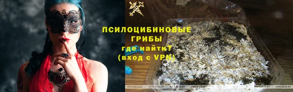 ГАЛЛЮЦИНОГЕННЫЕ ГРИБЫ Баксан