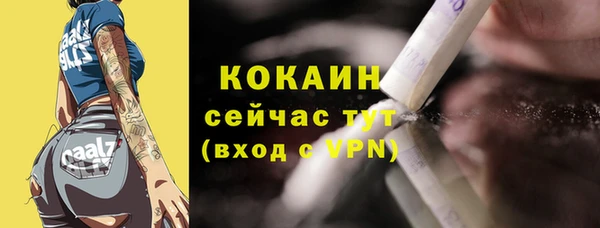 шишки Армянск