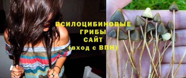 ПСИЛОЦИБИНОВЫЕ ГРИБЫ Балабаново