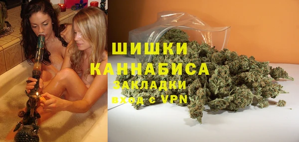 шишки Армянск